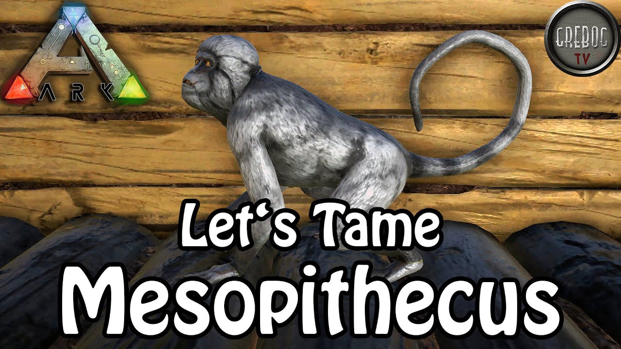Ark: Survival Evolved - Let's Tame Mesopithecus (deutsch)