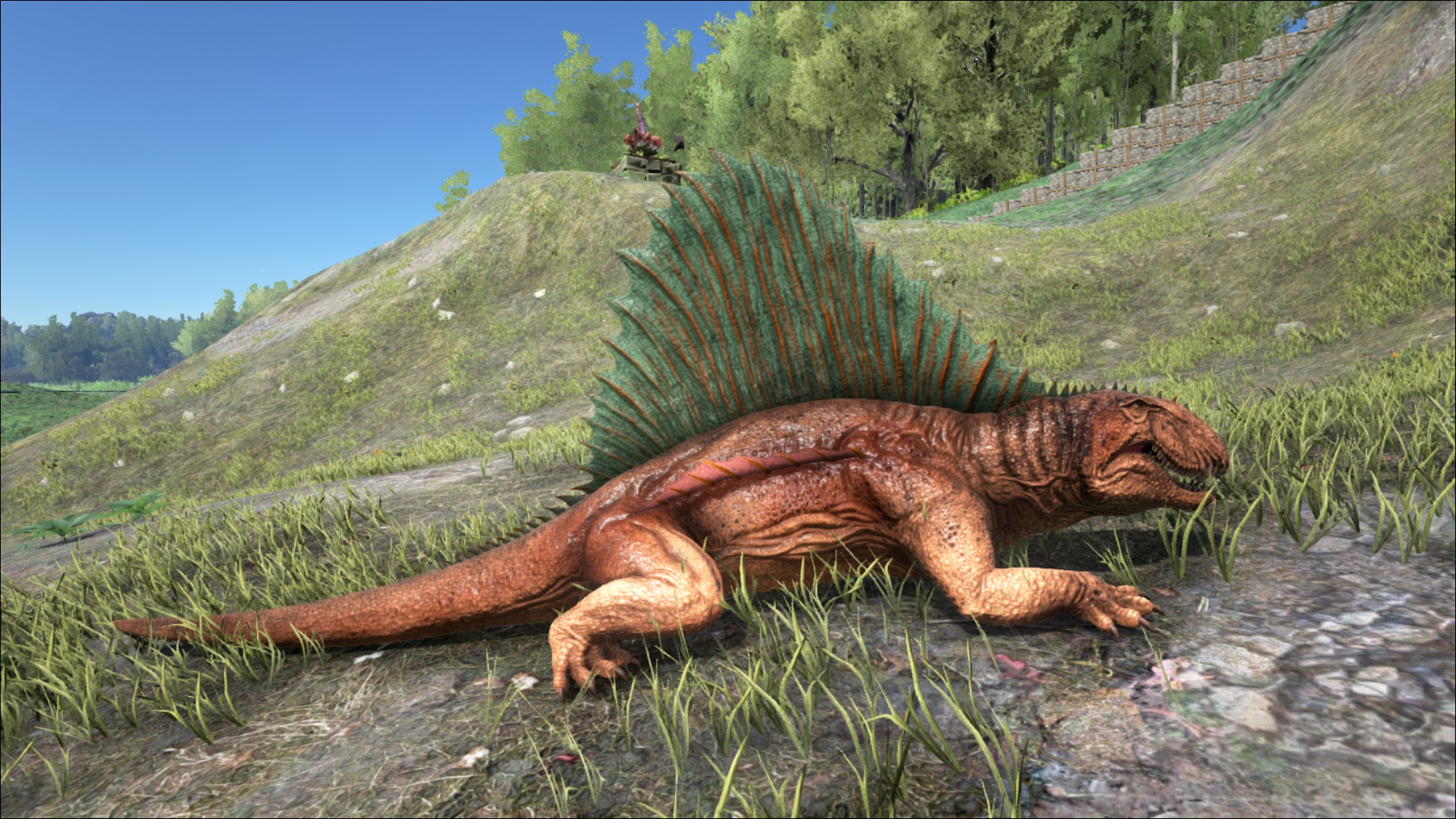 Dimetrodon