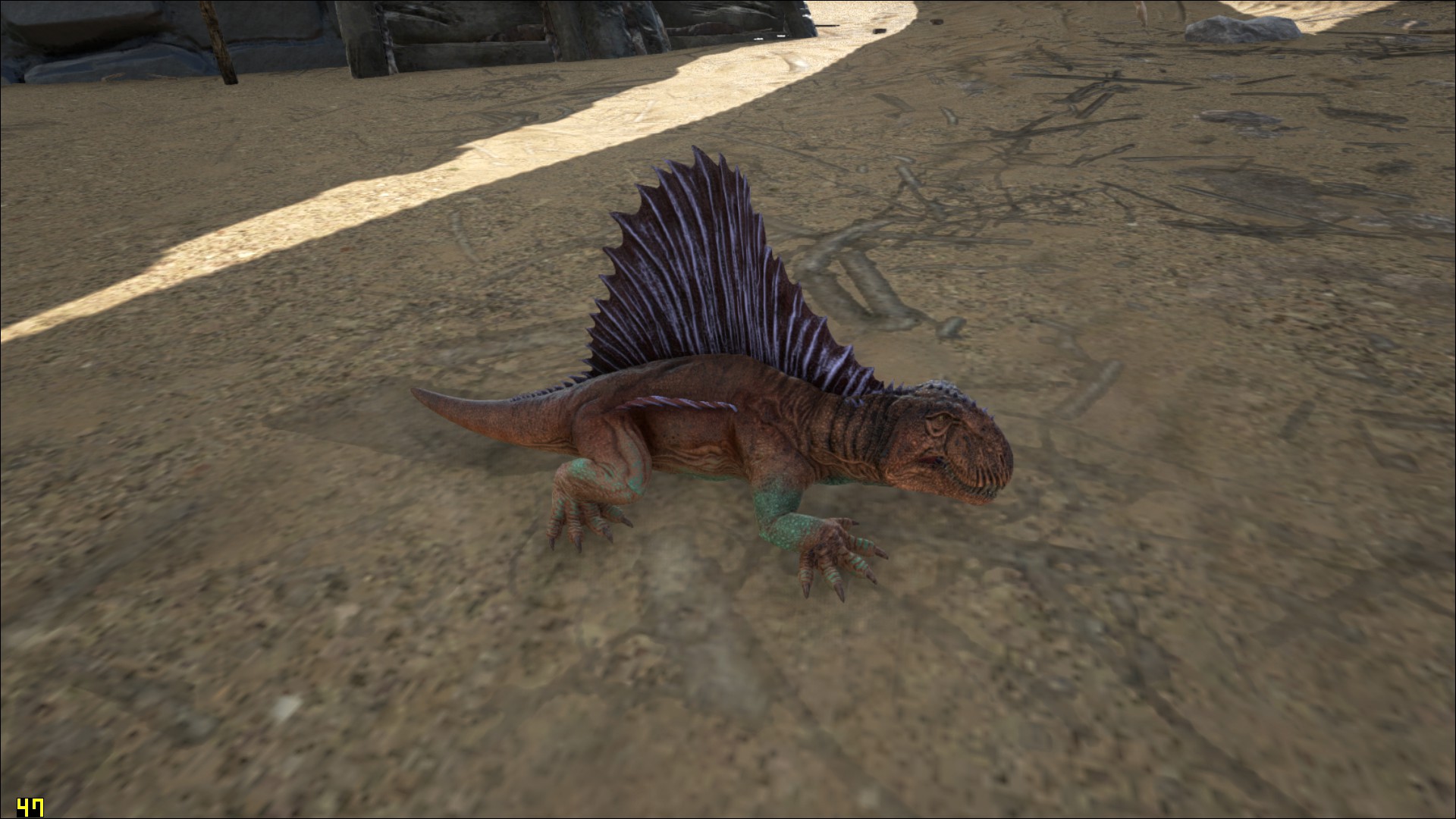 Dimetrodon Baby