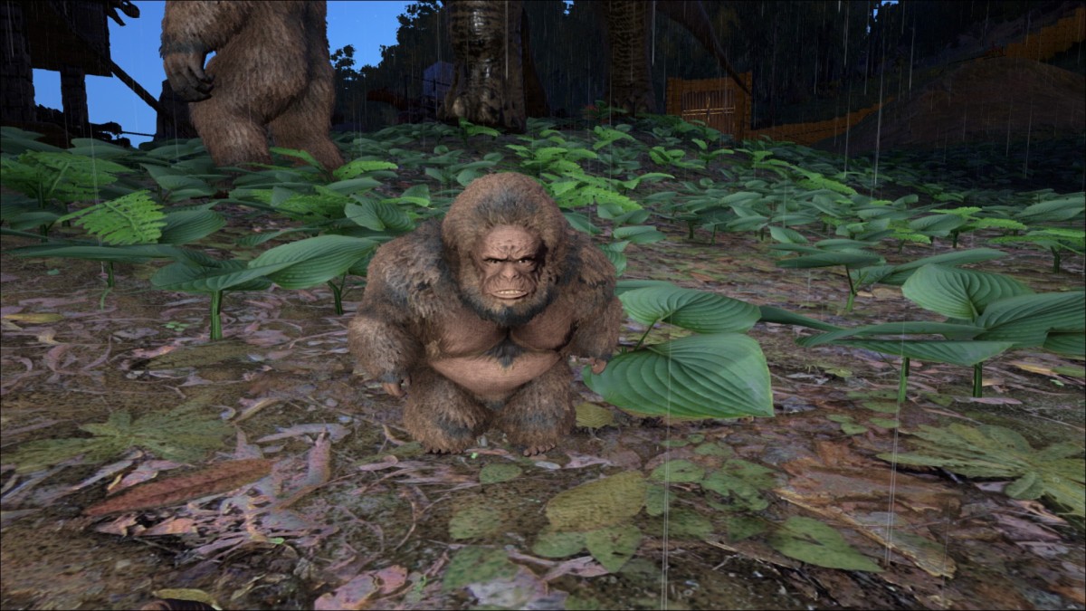 Gigantopithecus Baby