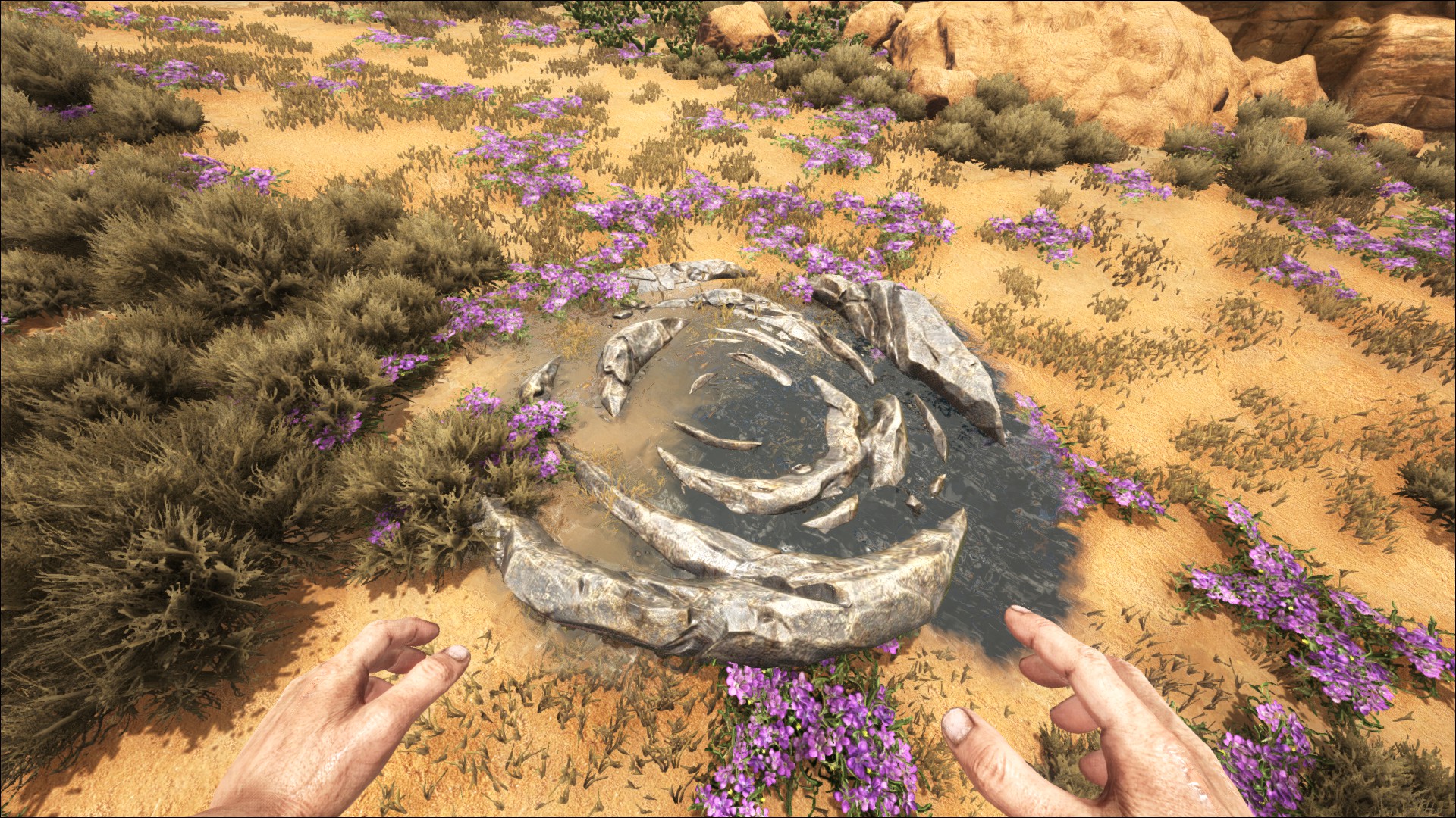 Eine Wasserquelle in ARK - Scorched Earth