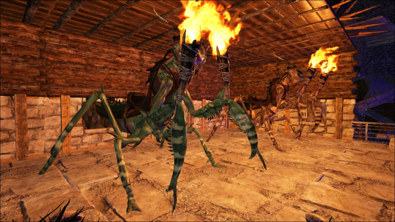 Mantis sind Vielfältig !