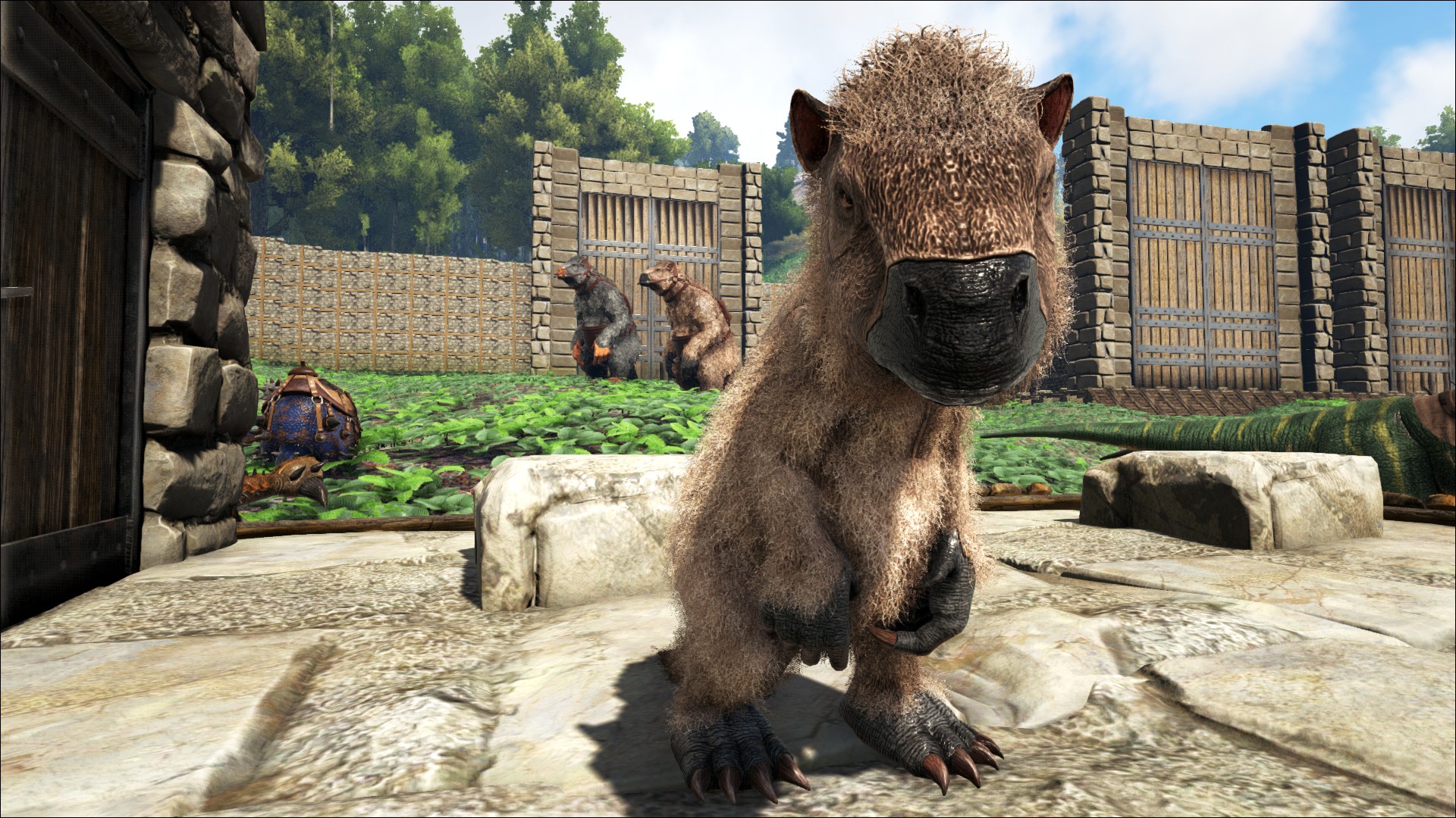 Ein Baby Megatherium