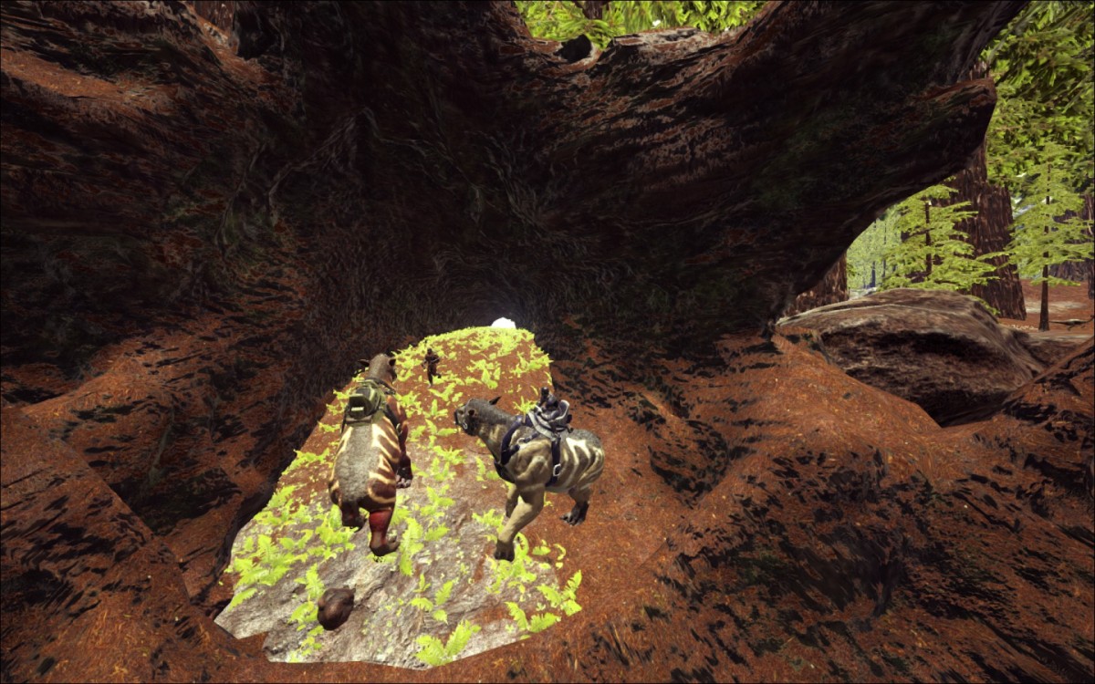 [NewHorizon Rollenspiel Server] Riesen Baum